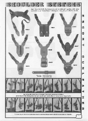 3 ESCORT SHLDR.pdf